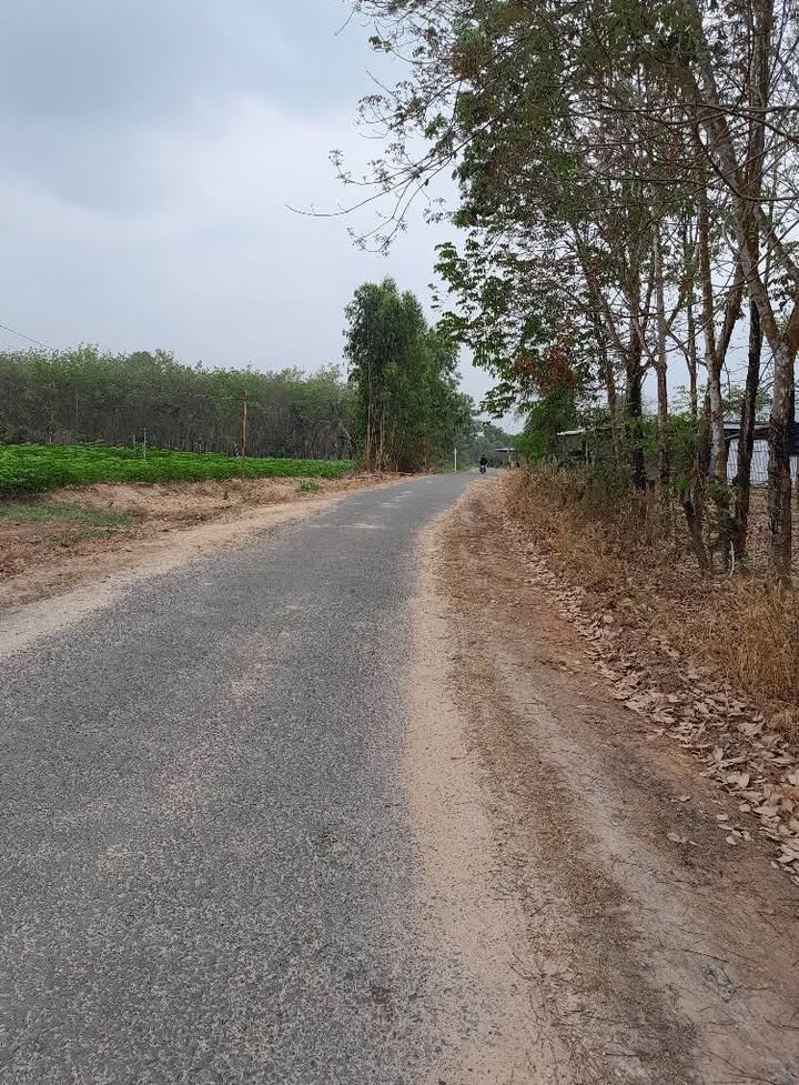 Bán Đất Mặt Tiền Phước Vinh, Tây Ninh - 1080m² Giá Chỉ 220 Triệu