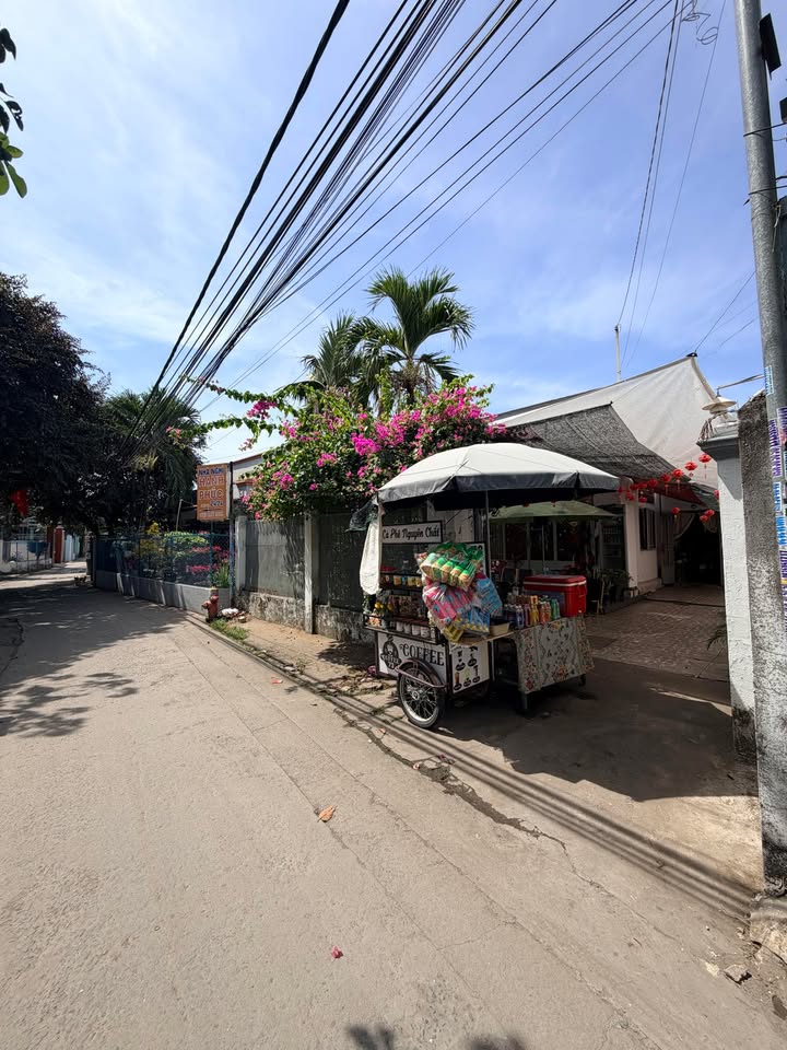 Bán Nhà Cấp 4 Hiệp Hòa Biên Hòa 197m² Giá 8 Tỷ - Vị Trí Đắc Địa