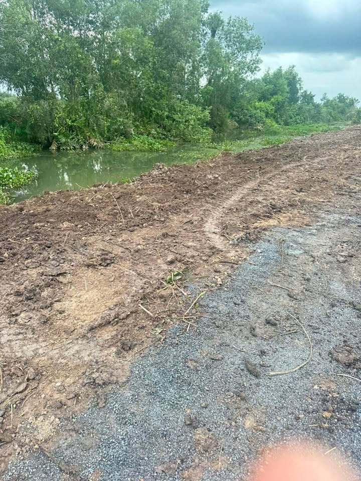 Đất Vườn 4270m² Mặt Tiền Kênh Lớn, Thủ Thừa, Long An - Giá Tốt