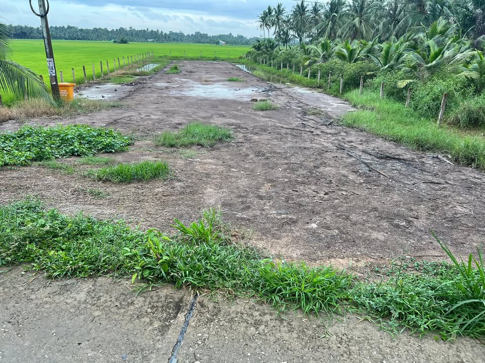 Đất Vũng Liêm 3600m² Chính Chủ - Sổ Đỏ, Sẵn Sàng Sang Tên