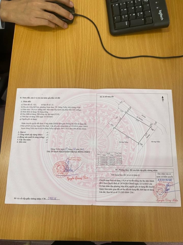 Đất Lô Góc Mễ Sơn - Đông Triều 176m² - Sổ Đỏ Sẵn Sàng