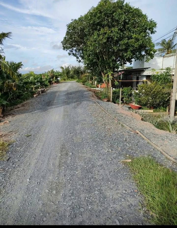 Đất vườn Bến Lức 635m² giá 680 triệu - Nghỉ dưỡng lý tưởng!