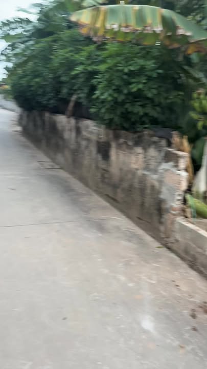 Đất nền Tân Châu, Khoái Châu 284.5m² - Sổ đỏ chính chủ, đón đầu dự án!