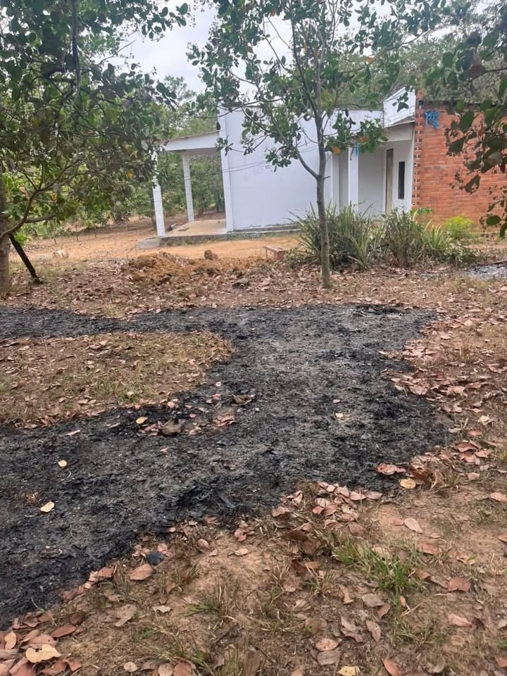 Bán Đất Lộc Thành 6200m² Mặt Tiền Đường - Giá 950 Triệu