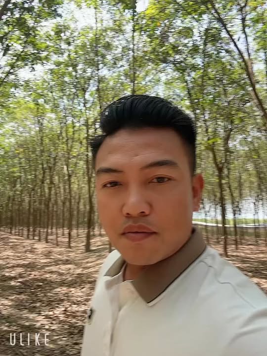 Bán Gấp 10.000m² Đất Vườn Cao Su Minh Thắng, Bình Phước - Thu Nhập Ổn Định