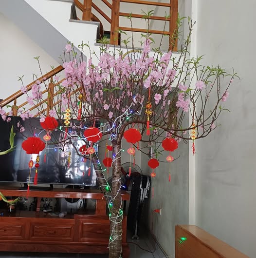 Nhà riêng Hẻm 157 Lưu Chí Hiếu, Vũng Tàu 90m² - Ô tô vào tận nhà!