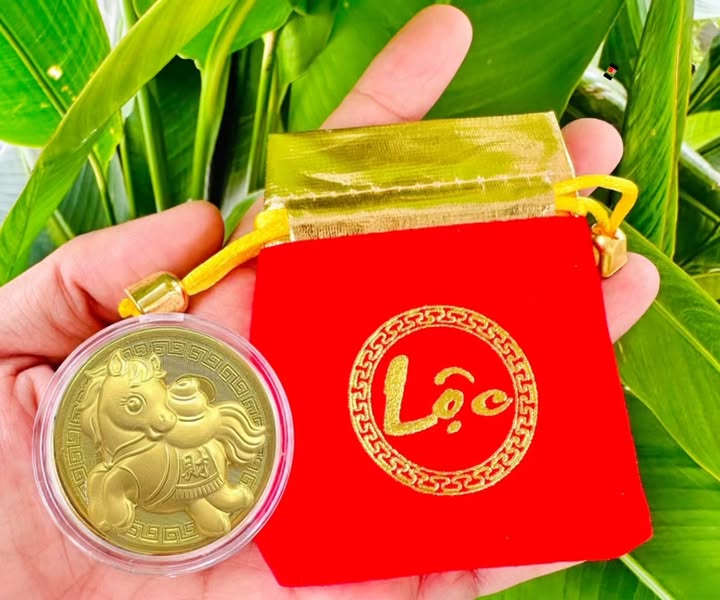 Bán đất Tiên Dược Sóc Sơn 100m² - Sổ đỏ chính chủ - Tặng ngay 1 chỉ vàng!