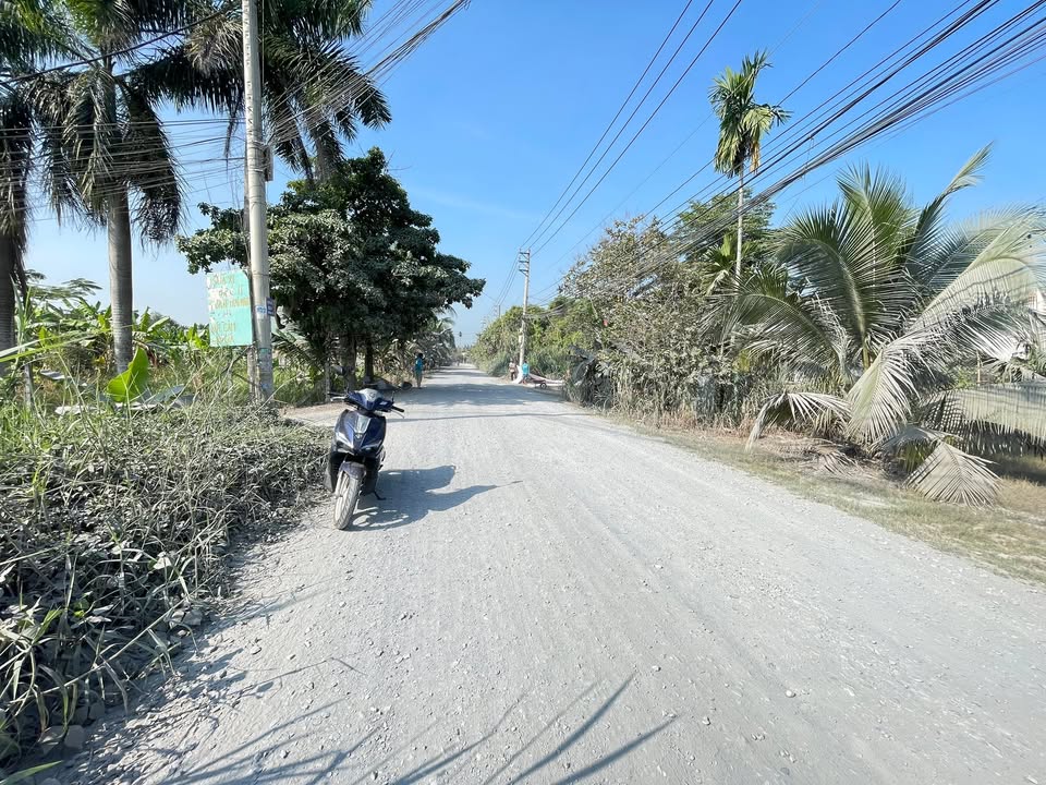 Đất mặt tiền Lê Thị Lơ Củ Chi 479m² giá 7 tỷ - Sổ đỏ chính chủ