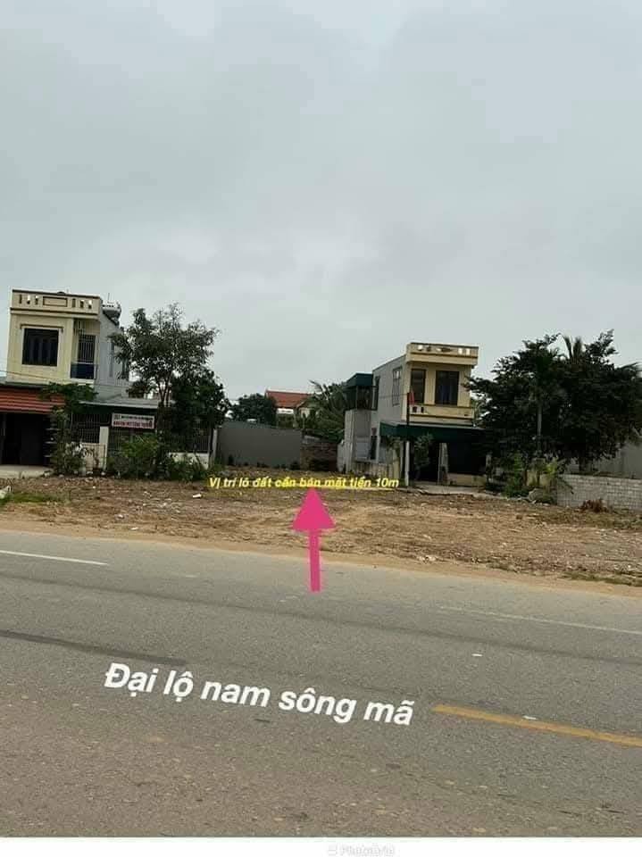 Đất nền Dự án Đan Ko Thanh Hóa 299m² - Sổ đỏ chính chủ tiềm năng