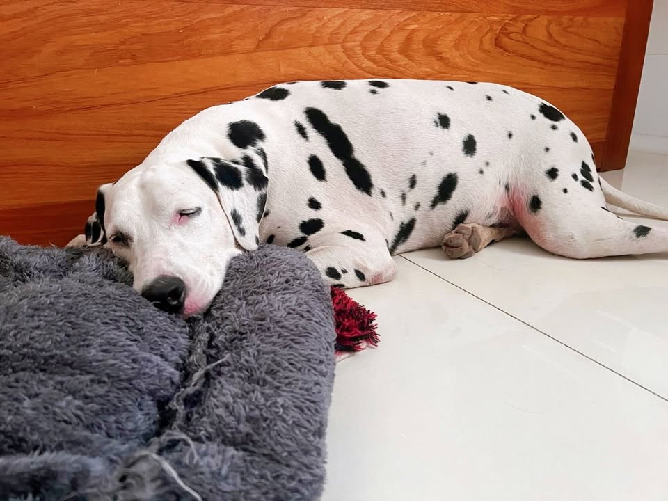 Đất nền Tam Bình Vĩnh Long 168m² giá hơn 100 triệu - Sổ đỏ chính chủ