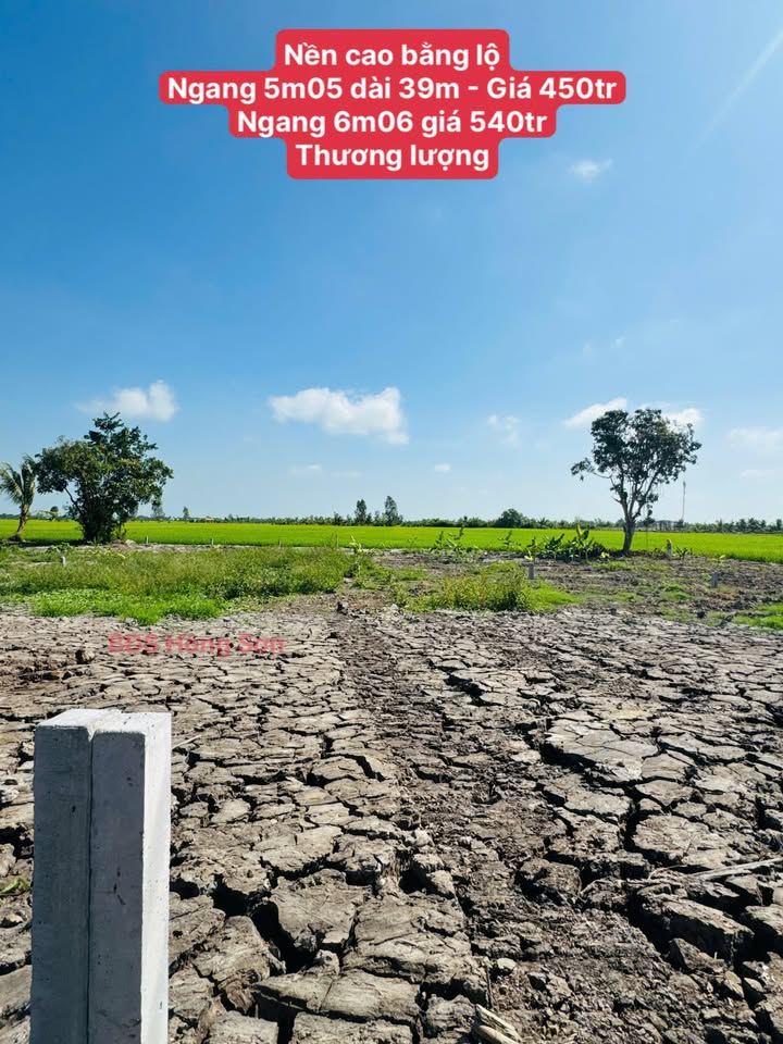 Đất Thổ Cư Mặt Tiền Kinh 5 Ranh, An Giang - Sổ Riêng, Giá Tốt