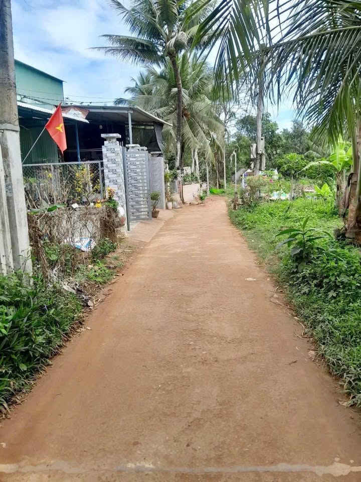 Đất Nền Hoài Nhơn 90m² - Sổ Đỏ Chính Chủ, Gần Trường Học