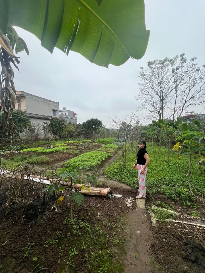 Đất nền Hải Hậu 400m² - Mặt đường lớn, ô tô vào tận nơi!