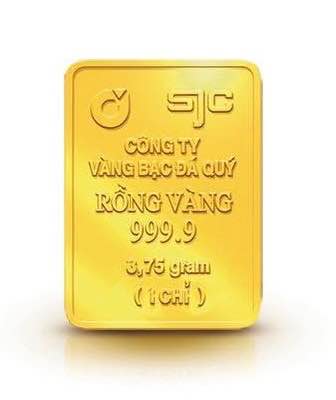 Đất Nền 500m² Phường 5, Bình Thạnh - Sổ Riêng, Giá 690 Triệu