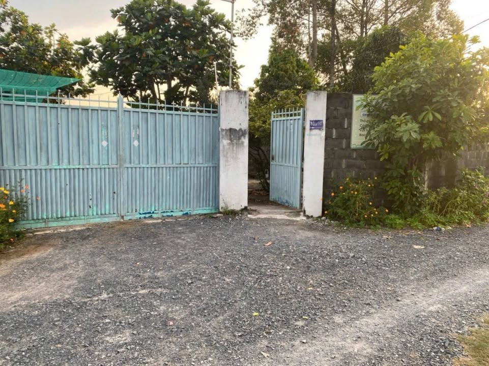 Bán Gấp Nhà Vườn 2330m² Xã Nhựt Chánh, Bến Lức - Giá 6.5 Tỷ