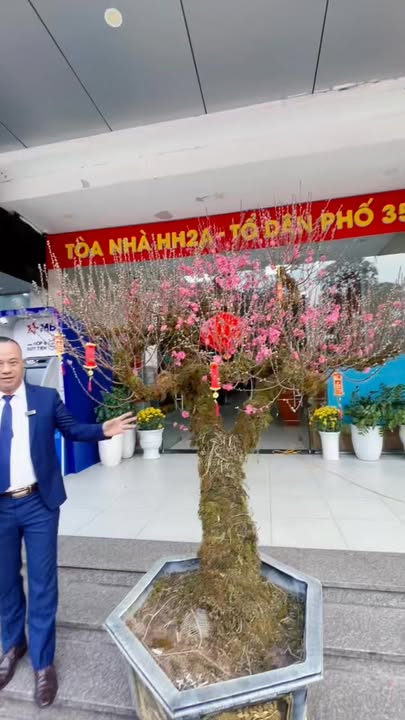 Bán căn hộ 3PN Linh Đàm 71m² giá 4 tỷ - Sẵn sàng đón Tết