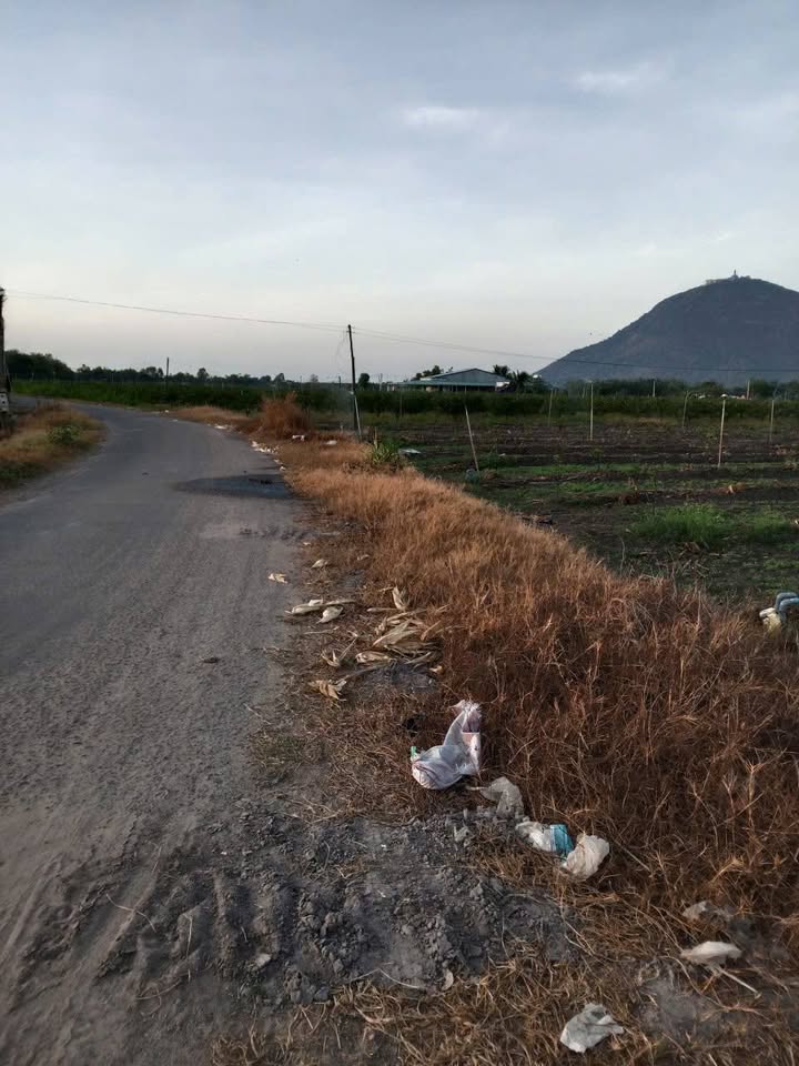 Bán đất Tân Châu Tây Ninh 3430m² mặt tiền nhựa - Giá đầu tư tốt