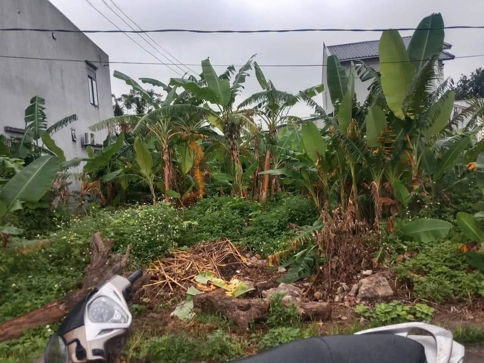 Đất nền Quảng Xương 200m² - Đường to ô tô thông thoáng