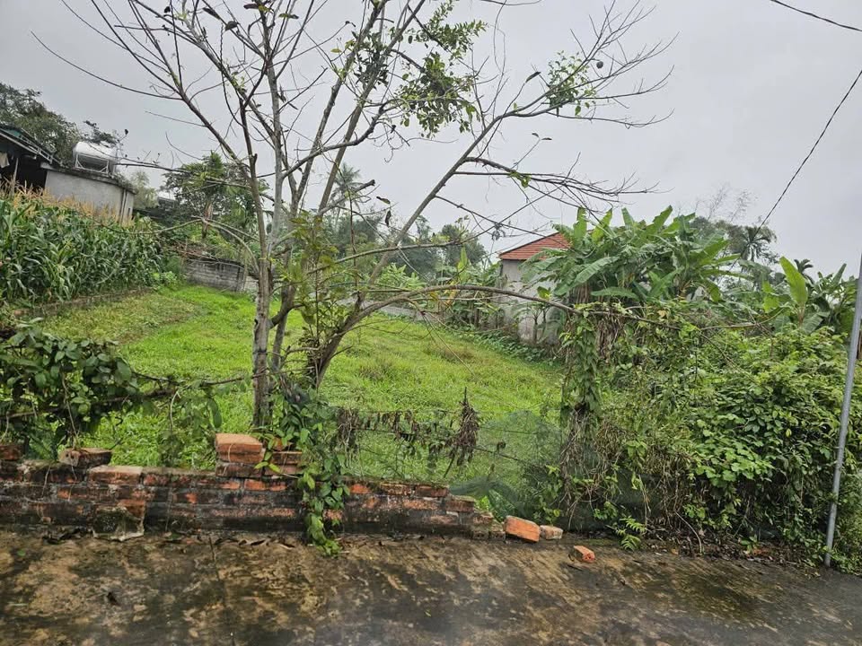 Bán đất Xã Trung Sơn, Đô Lương 200m² - Giá 750 triệu, làm nhà vườn