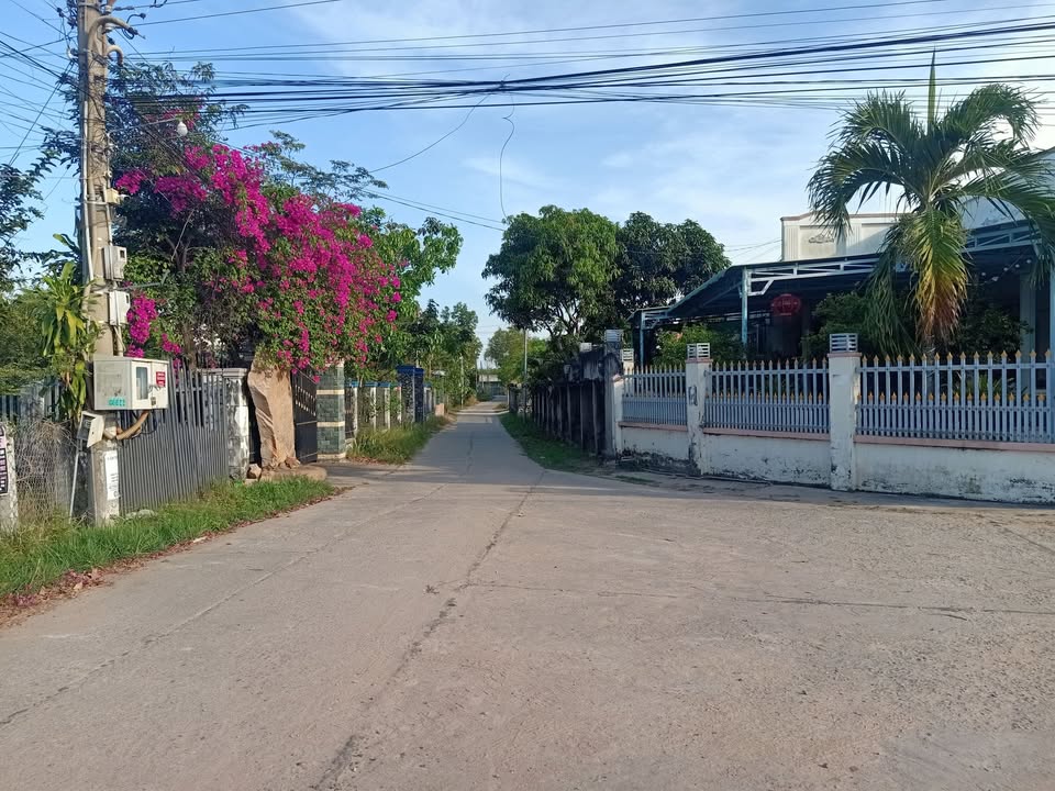 Đất nền Tân Xuân Hàm Tân 1000m² giá 1.25 tỷ - Sổ hồng sẵn!