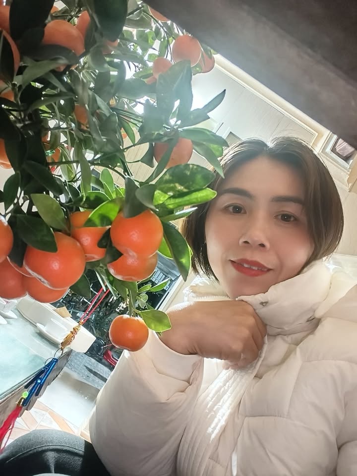 Bán đất đường Nguyễn Tạo, TT Hậu Lộc 120m² - Sổ đỏ chính chủ