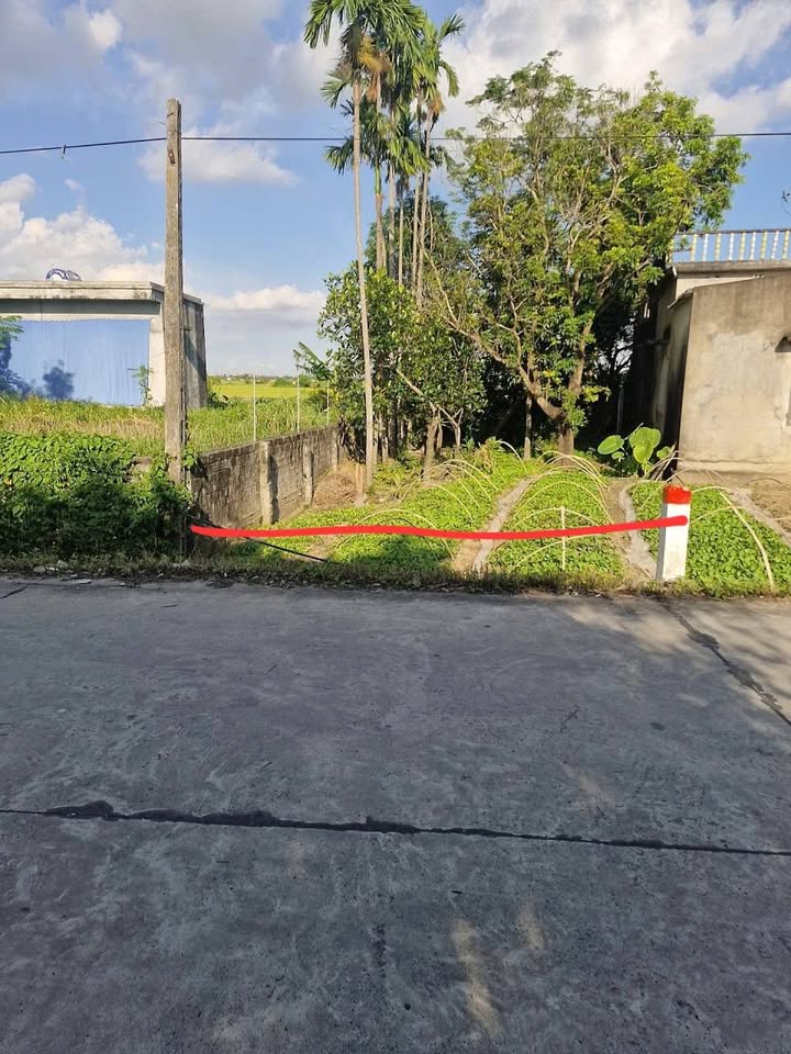 Bán Đất Mặt Đường Kinh Doanh 108m² tại Bình Lục, Hà Nam - Chỉ 1 Tỷ