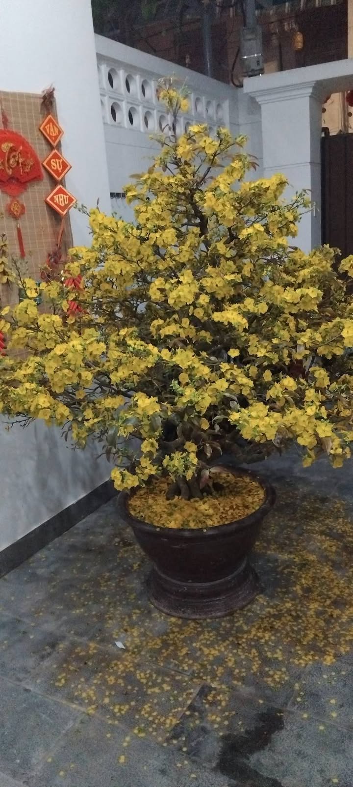 Nhà Mặt Tiền Lê Văn Long, Hải Châu - Kinh doanh/Ở Ngay 72m²