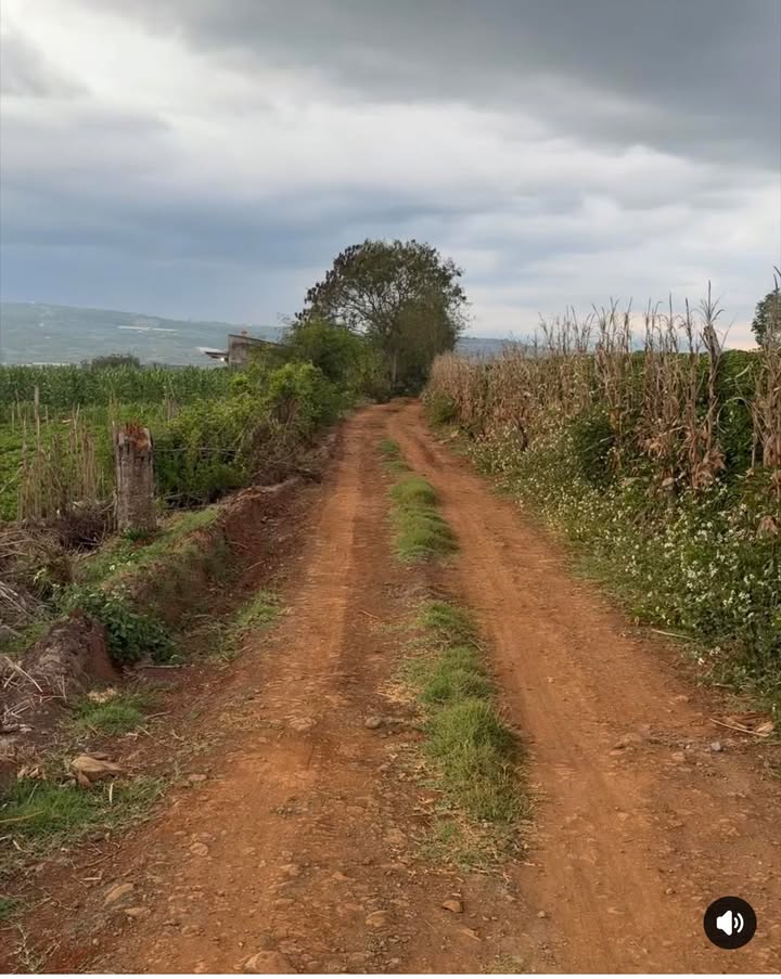 Đất vườn Tân Hội Đức Trọng 3 sào giá 1.9 tỷ - Sổ đỏ chính chủ