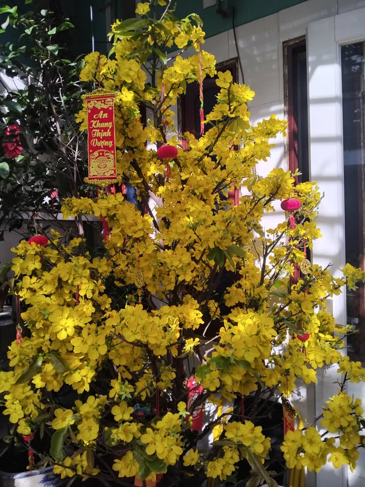 Bán nhà riêng Tân Phú 24m² giá 3 tỷ - Sổ hồng sẵn, ở ngay!