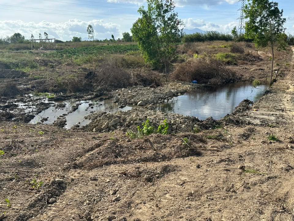 Đất vườn 10ha Ninh Sơn, Ninh Hoà - 8.5 tỷ - Tiềm năng đầu tư dài hạn