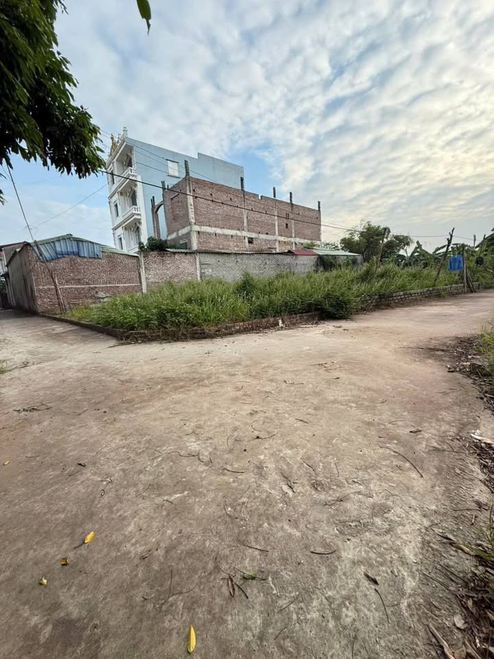 Đất nền Việt Yên Yên Mỹ 54m² giá 1 tỷ - Sổ đỏ chính chủ!