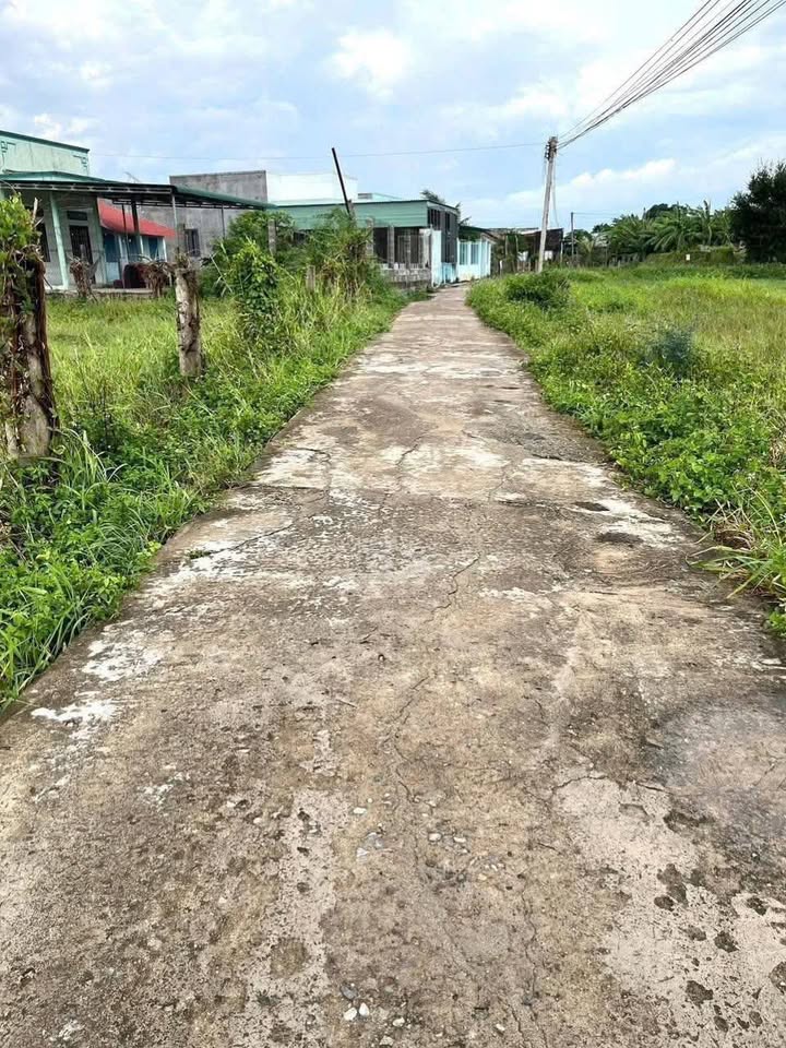 Đất Sào Hàm Thắng - Bình Thuận 1400m² Sổ Riêng Giá Chỉ 850 Triệu