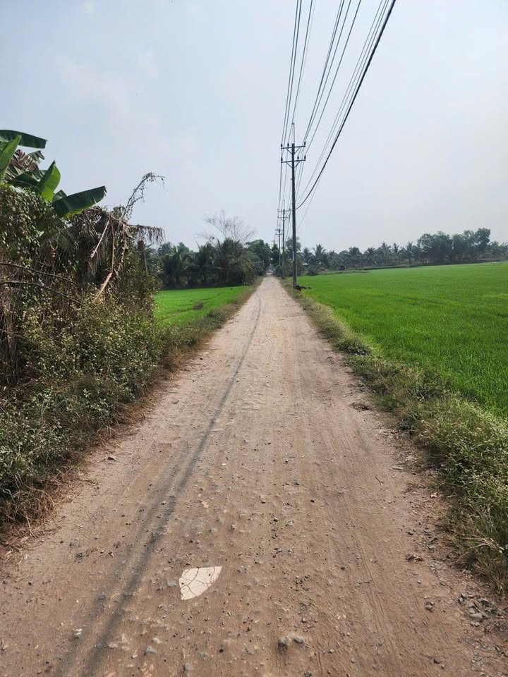 Đất vườn Hóc Môn 10.850m² giá 59.675 tỷ - Sinh thái xanh, đường ô tô tiện lợi!