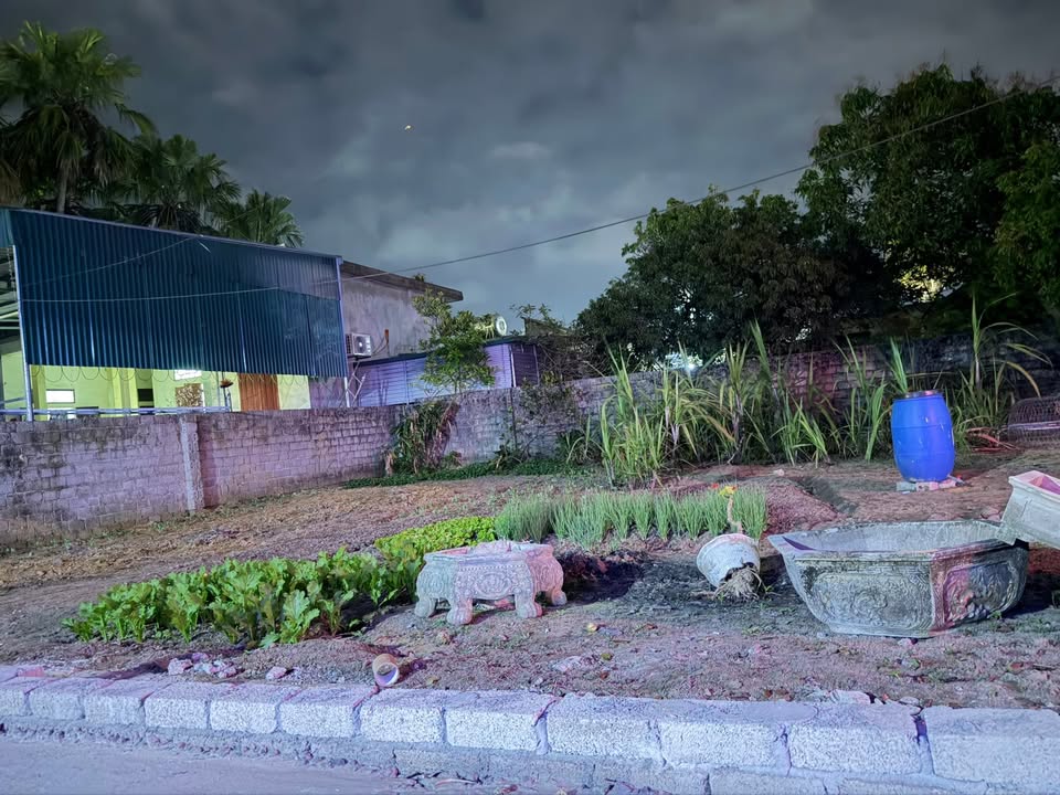 Đất nền Đông Hải 252m² - Đường to ô tô, xây nhà vườn lý tưởng