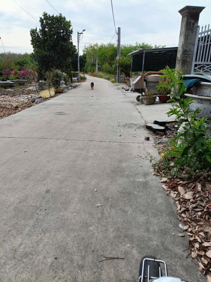 Lô Đất Xã Trừ Văn Thố, Bàu Bàng 250m² giá 800 triệu - Sổ đỏ chính chủ!