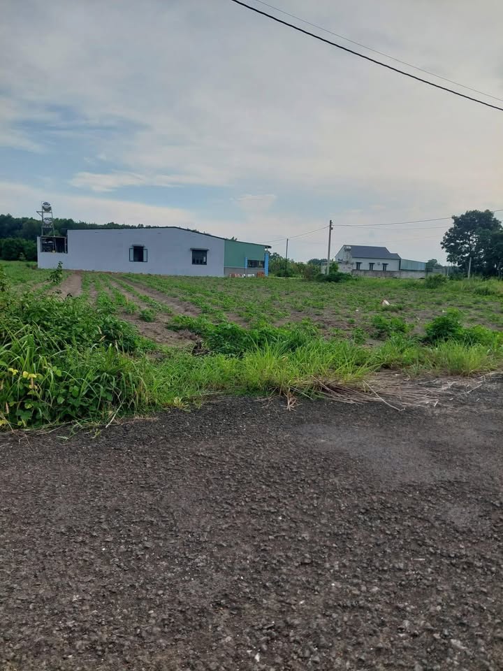 Đất nền Thị trấn Tân Phú, Đồng Phú 144m² - Tiềm năng tăng giá!