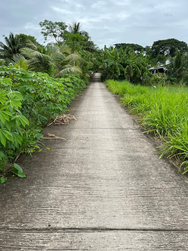 Đất Sóc Trăng 528m² Giá 385 Triệu - Sổ Hồng Riêng, Thích Hợp Nhà Vườn