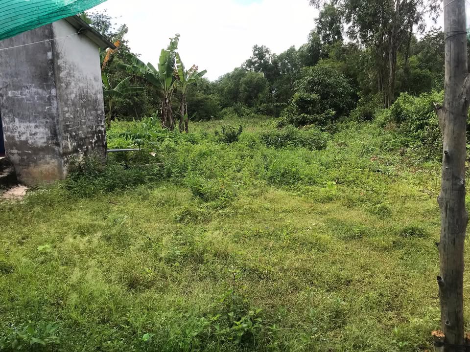 Bán Đất Mặt Tiền QL53 Vĩnh Long 850m² - Cơ Hội Đầu Tư Sinh Lời