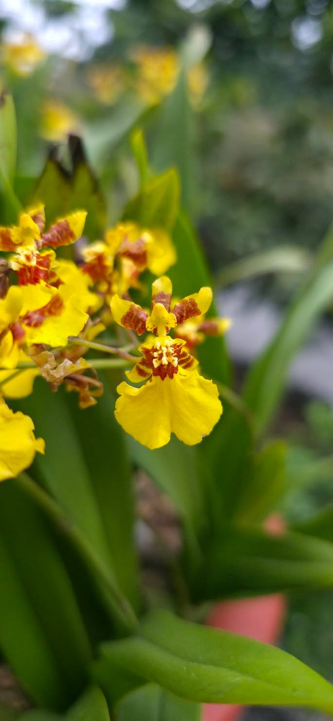 Đất nền Lideco Hà Khánh 200m² - Tiềm năng tăng giá vượt trội!