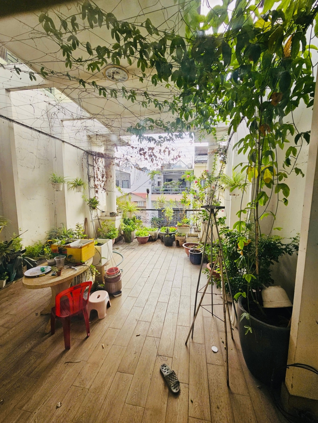 Bán nhà mặt tiền Bế Văn Đàn Tân Bình 72m² 18 tỷ - Vị trí đắc địa