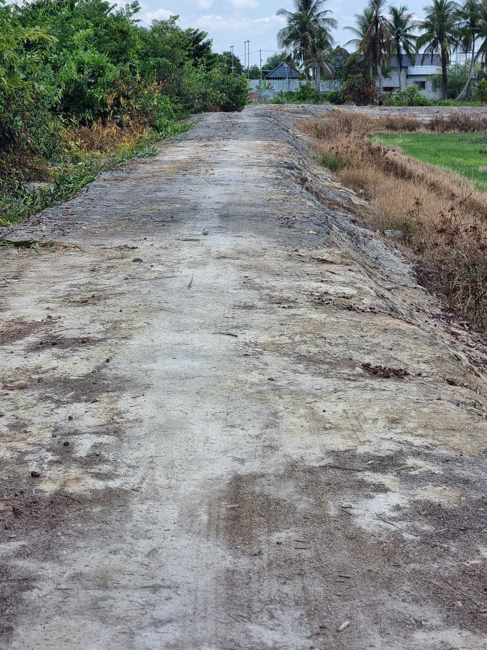 Đất Vườn Mặt Sông Vàm Cỏ Đông 9000m² - Giá Ngộp 12.5 Tỷ