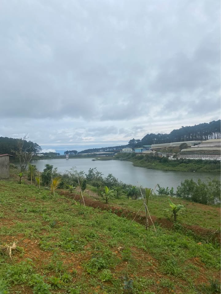 Bán đất vườn Xuân Trường Đà Lạt 1300m² view hồ rừng thông cực phẩm