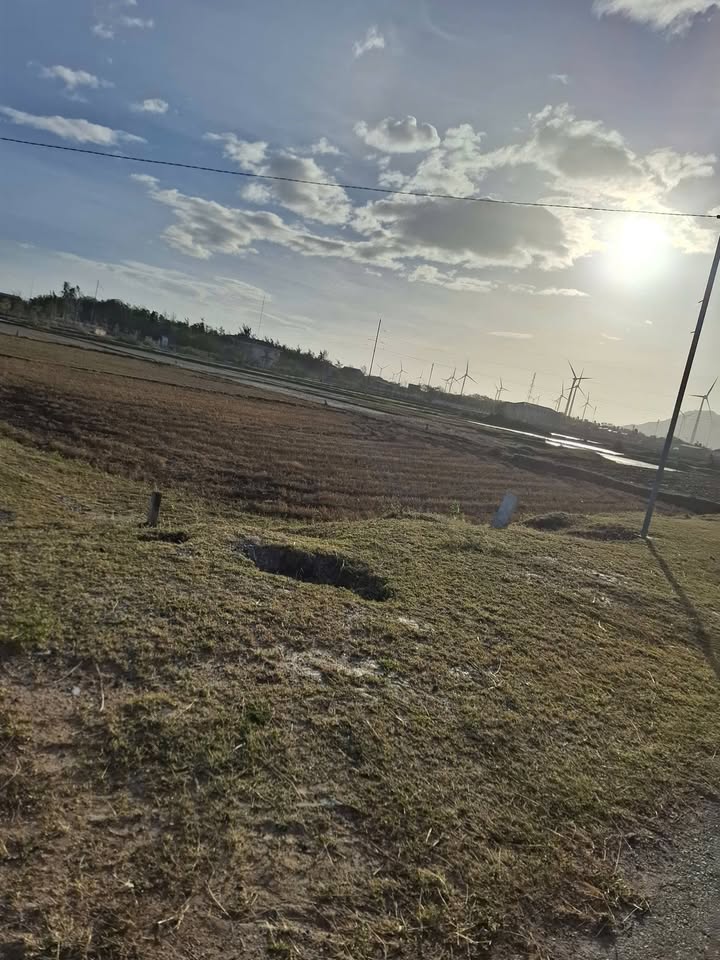 Đất nền Ấn Đạt, Thuận Bắc 2340m² - Sổ đỏ chính chủ, pháp lý rõ ràng!