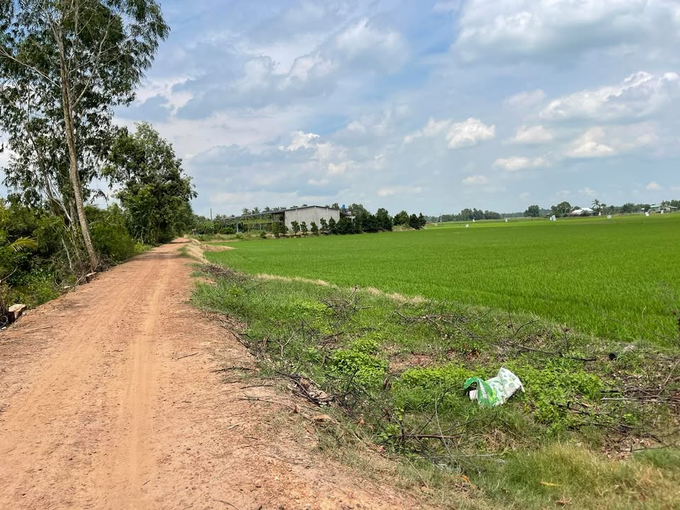 Bán Đất 1000m² Phước Chỉ, Tây Ninh - Sổ Hồng Chính Chủ, Giá 600 Triệu