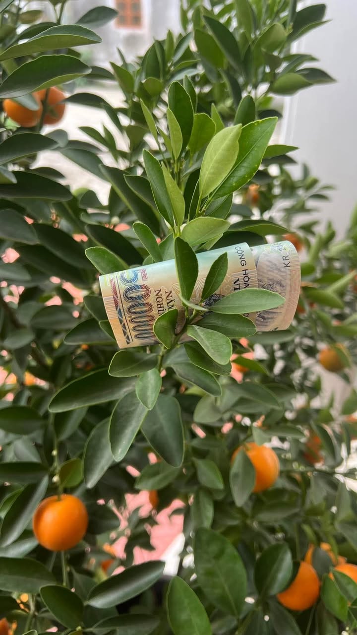 Bán Đất TTHC Dĩ An 200m² - Sổ Đỏ Vuông Vắn, Giá 12 Tỷ