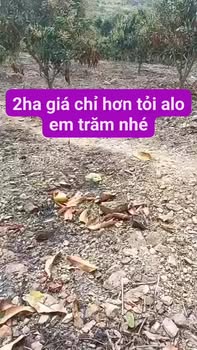 Đất Vườn Đắk Nông 20.000m² Sổ Đỏ - Giá Đầu Tư Hời!