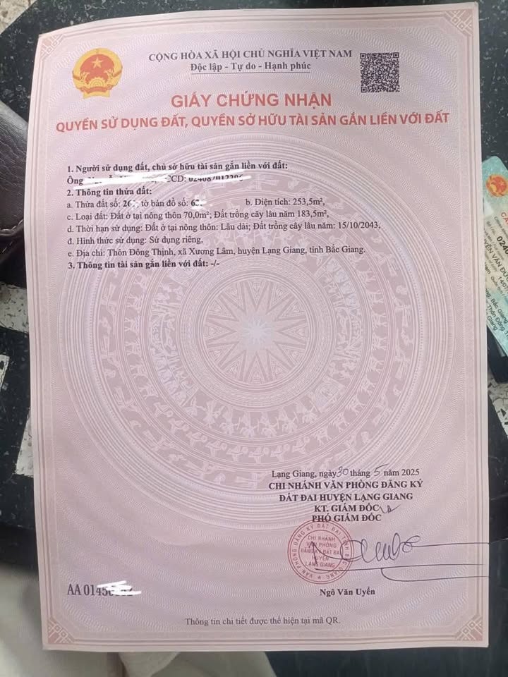 Đất nền KCN Tân Hưng, Lạng Giang 253m² - Tiềm năng sinh lời vượt trội!