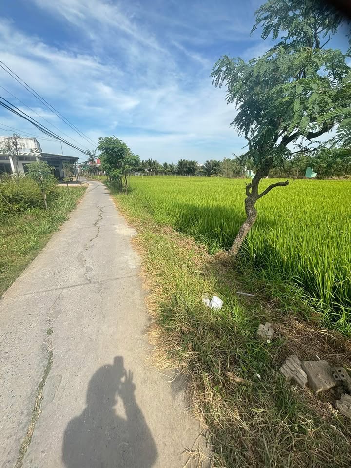 Đất Lúa 1000m² Mặt Tiền Rộng 35m Tân Đông, Gò Công Đông - Giá 610 Triệu