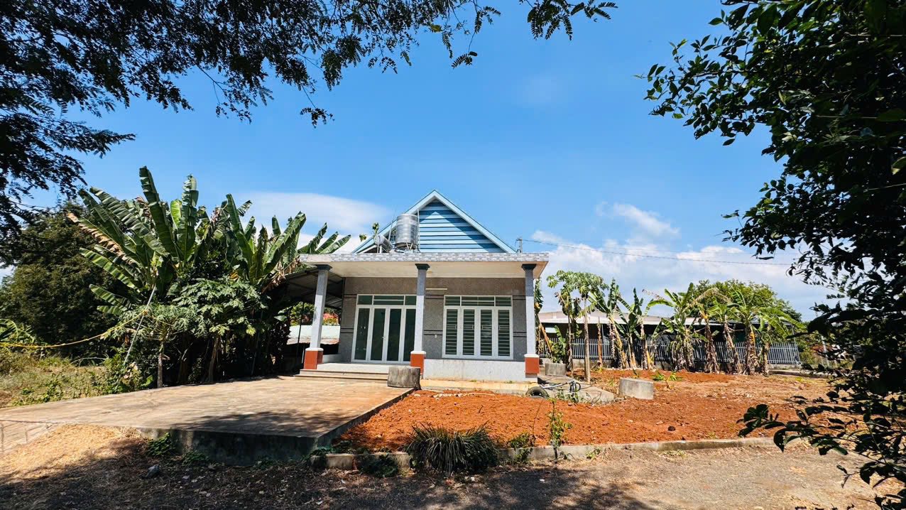 Nhà vườn Thị trấn Đất Đỏ 1450m² 3.35 tỷ - Nghỉ dưỡng lý tưởng