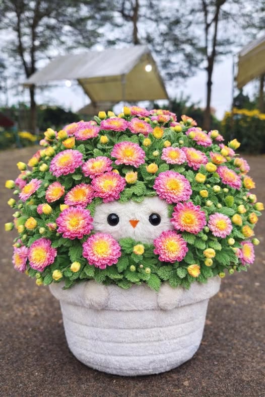 Đất Vườn Suối Tre, Long Khánh - 3600m² Giá 690 Triệu - Sổ Hồng Riêng